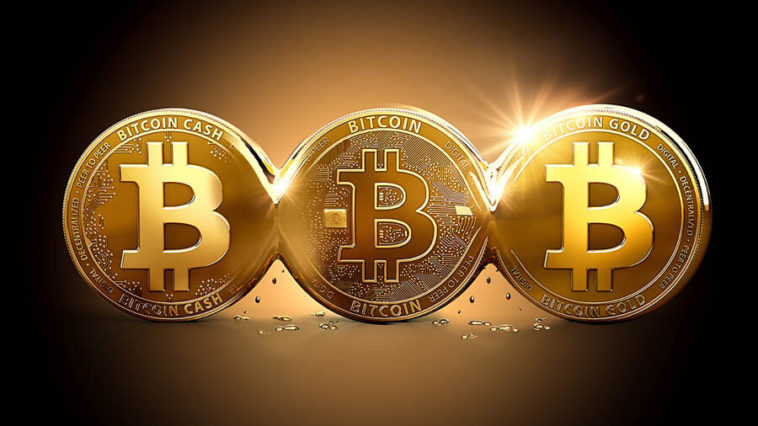 O que é Bitcoin Cash e Bitcoin Gold?